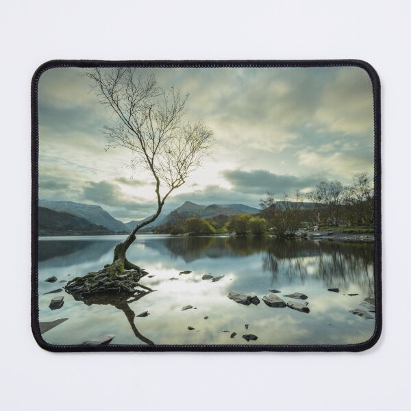 Item preview, Lone Tree at Llyn Padarn, Wales designed and sold by MargaretClavell.