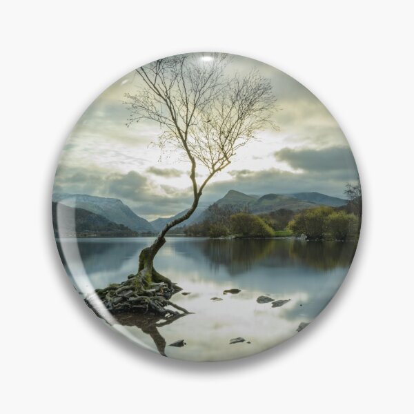 Item preview, Lone Tree at Llyn Padarn, Wales designed and sold by MargaretClavell.