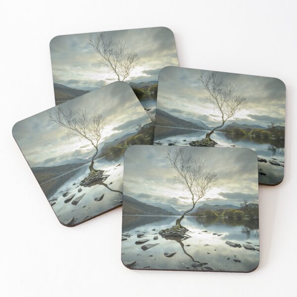 Item preview, Lone Tree at Llyn Padarn, Wales designed and sold by MargaretClavell.