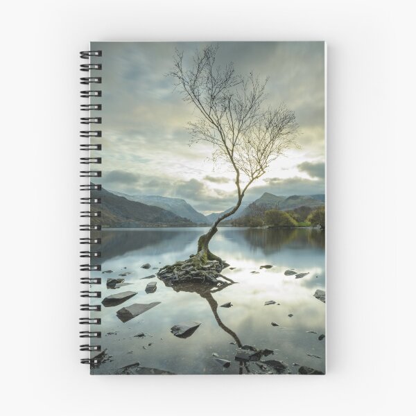 Item preview, Lone Tree at Llyn Padarn, Wales designed and sold by MargaretClavell.