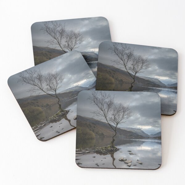 Item preview, Lone Tree at Llyn Padarn, Wales designed and sold by MargaretClavell.