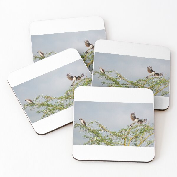 Item preview, Shrike Takes Wing designed and sold by David JC.