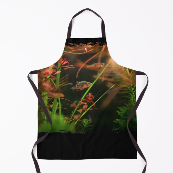 Item preview, Perlhuhnbärbling, Karpfenfisch Danio margaritatus Freshwater fish, celestial pearl danio in the aquarium, is often as often referred as galaxy rasbora galaxy or Microrasbora Galaxy Animal aquascaping designed and sold by Marcin Adrian.