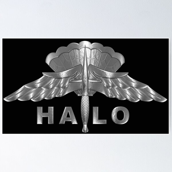 Aperçu de l'œuvre  Ailes principales à haute altitude et ouverture basse (HALO) créée et vendue par SoldierAlways.