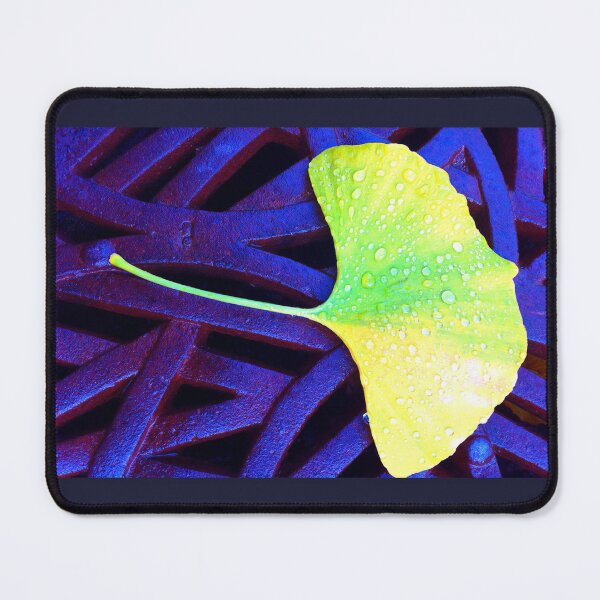 Item preview, Ginkgo Leaf designed and sold by Ethna Gillespie.