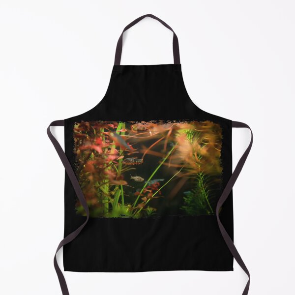Item preview, Perlhuhnbärbling, Karpfenfisch Danio margaritatus Freshwater fish, celestial pearl danio in the aquarium, is often as often referred as galaxy rasbora galaxy or Microrasbora Galaxy Animal aquascaping designed and sold by Marcin Adrian.