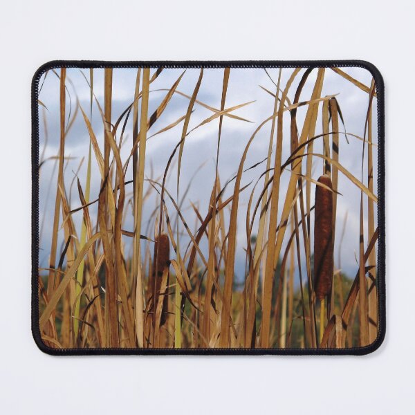 Item preview, Marrón dorado designed and sold by Ethna Gillespie.