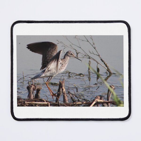 Item preview, Shorebird Taking Flight designed and sold by Judy Geller.