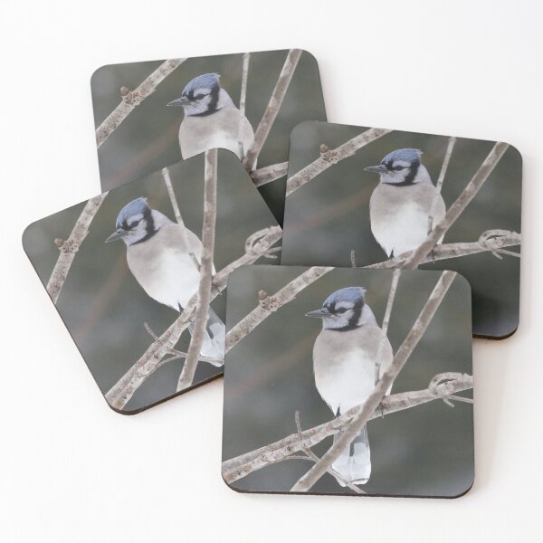 Item preview, Bluejay on a Branch designed and sold by Judy Geller.