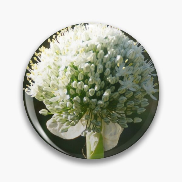 Item preview, White Onion Flower by Adelaide artist Avril Thomas at Magpie Springs designed and sold by MagpieSprings.