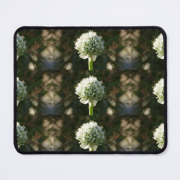 Item preview, White Onion Flower by Adelaide artist Avril Thomas at Magpie Springs designed and sold by MagpieSprings.