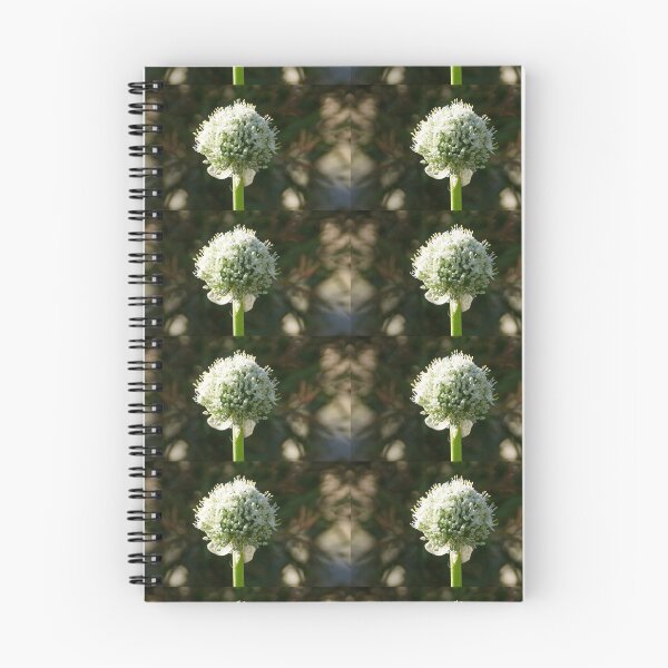 Item preview, White Onion Flower by Adelaide artist Avril Thomas at Magpie Springs designed and sold by MagpieSprings.
