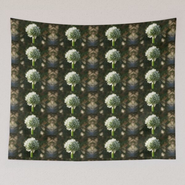 Item preview, White Onion Flower by Adelaide artist Avril Thomas at Magpie Springs designed and sold by MagpieSprings.