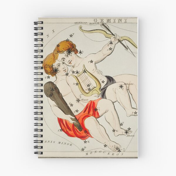 Item preview, Gemini - Air Sings designed and sold by kwbord.