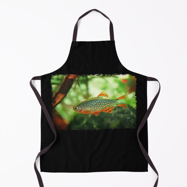 Item preview, Perlhuhnbärbling, Karpfenfisch Danio margaritatus Freshwater fish, celestial pearl danio in the aquarium, is often as often referred as galaxy rasbora galaxy or Microrasbora Galaxy Animal aquascaping designed and sold by Marcin Adrian.