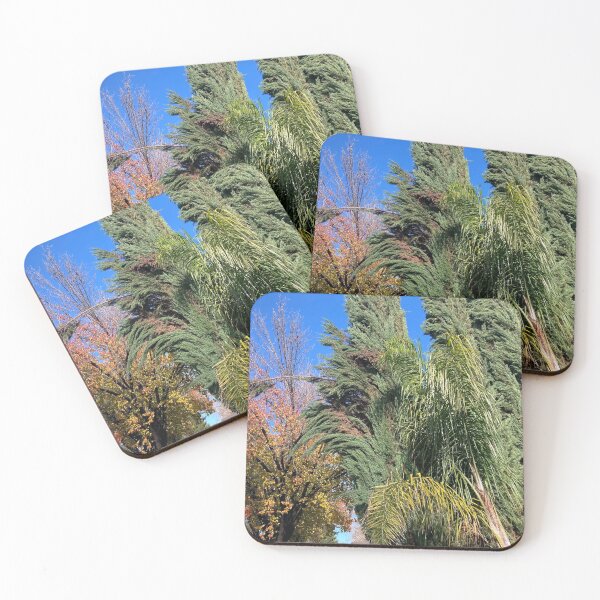 Item preview, The Nature Of December (Bright Variant) designed and sold by TM Art.