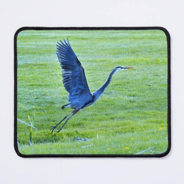 Item preview, Great Blue Heron designed and sold by Laurie Minor.