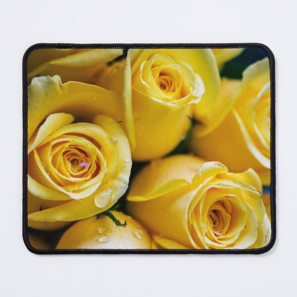 Item preview, Beautiful Yellow Roses Blooming designed and sold by newburyboutique.