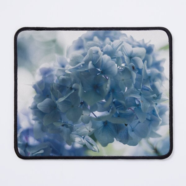 Item preview, Beautiful Blue Hydrangeas designed and sold by newburyboutique.