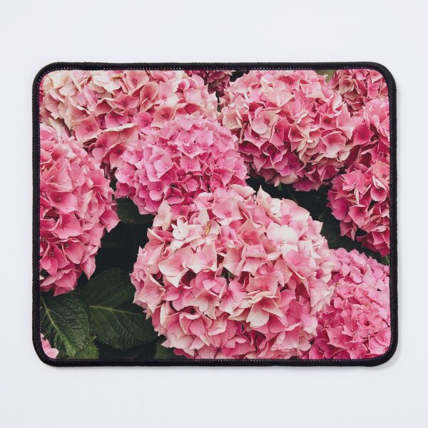 Item preview, Beautiful Pink Hydrangeas Blooming designed and sold by newburyboutique.