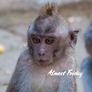 Almost Friday Funky Monkey