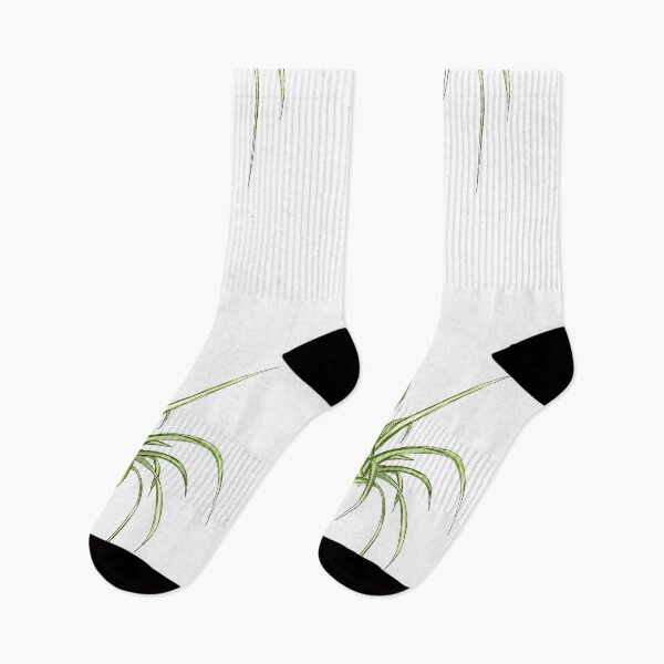 Item preview, Spider Plant designed and sold by CarlaTheeArtist.