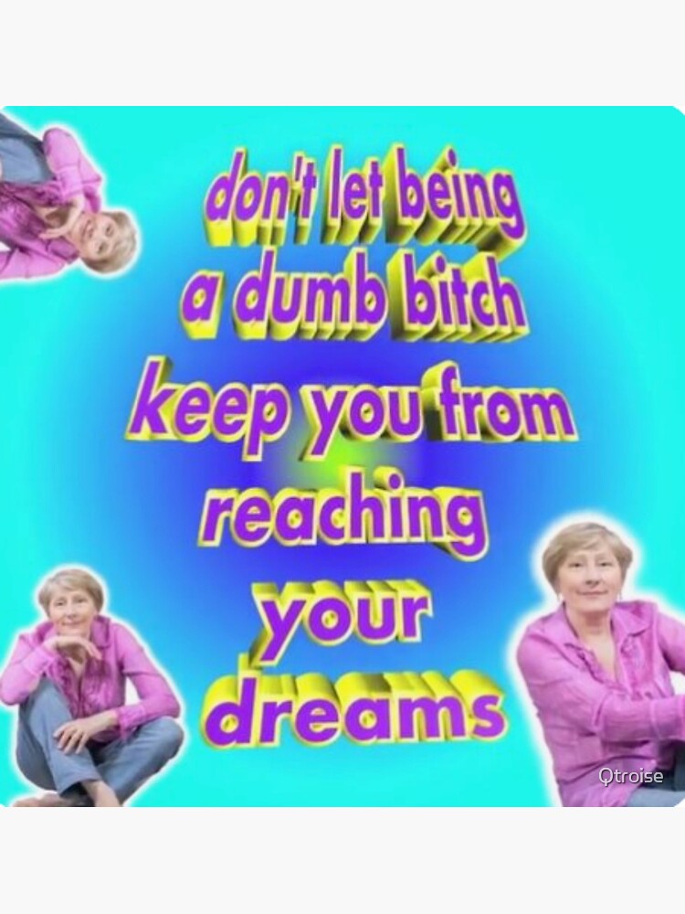 "Don't Let Being A Dumb B*tch Keep You From Reaching Your Dreams Meme ...