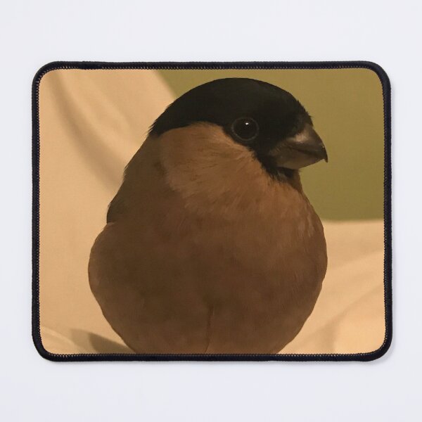 Item preview, Bullfinch Female designed and sold by CraftyLeeks.