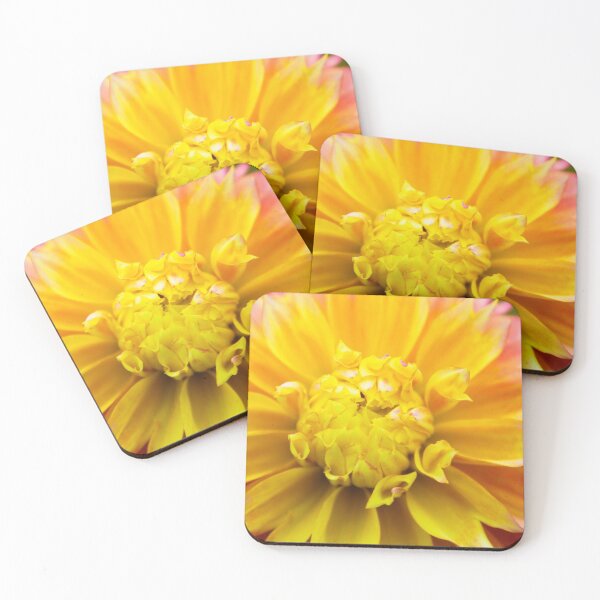 Item preview, Dahlia designed and sold by William Franklin-Cromwell.