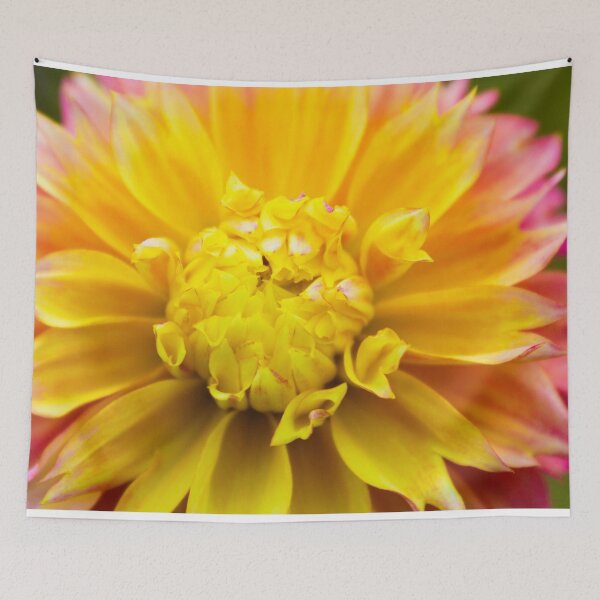 Item preview, Dahlia designed and sold by William Franklin-Cromwell.