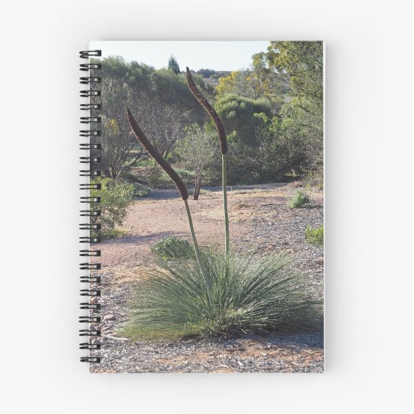 Item preview, Port Augusta - Grass tree designed and sold by Maureen Keogh.
