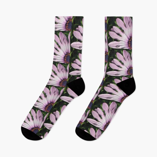 Item preview, South African Daisy  designed and sold by Amber Hendren.