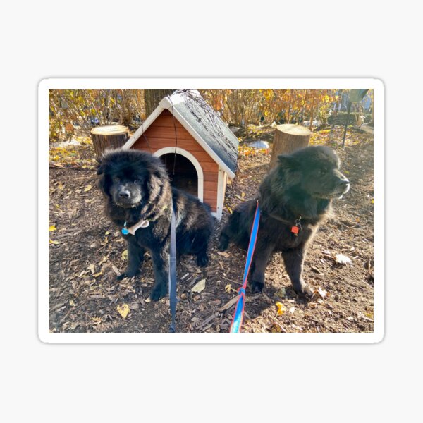 "Dog house " Sticker for Sale by BOBBYBABE Redbubble