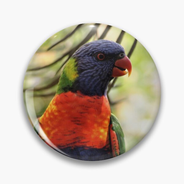 Item preview, Rainbow Lorikeet designed and sold by Dragonsfield.