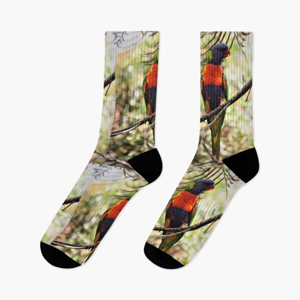 Item preview, Rainbow Lorikeet designed and sold by Dragonsfield.