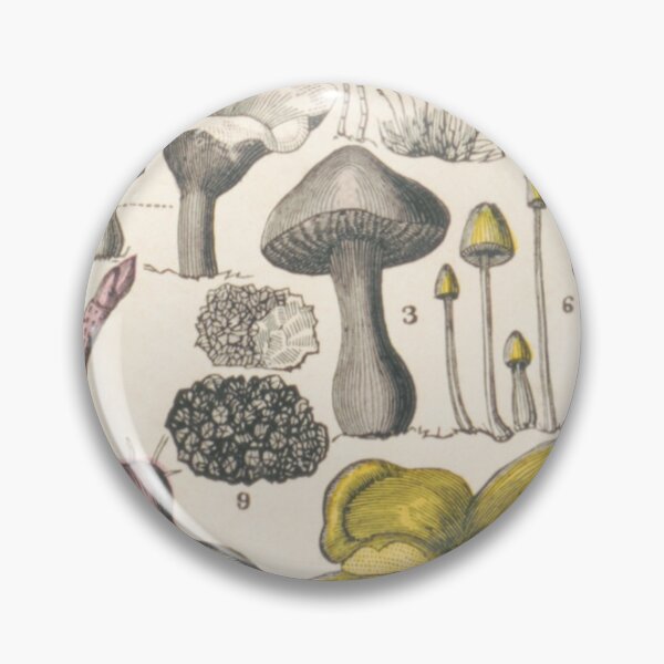 Item preview, Functional Fungi Vintage Botanical Chart designed and sold by ZinZoe.