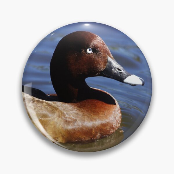 Item preview, Hardhead duck, Australian White-eyed duck designed and sold by Dragonsfield.