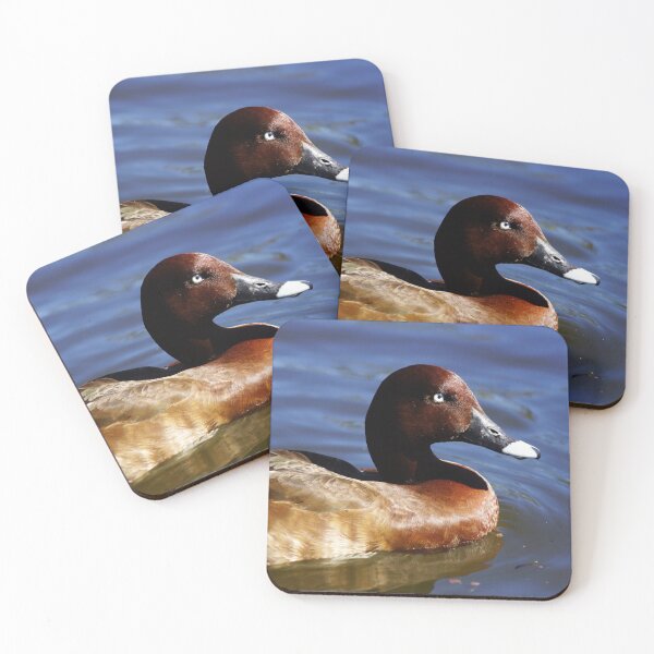 Item preview, Hardhead duck, Australian White-eyed duck designed and sold by Dragonsfield.