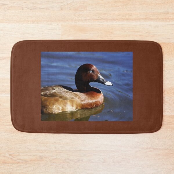 Item preview, Hardhead duck, Australian White-eyed duck designed and sold by Dragonsfield.