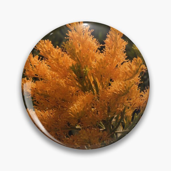 Item preview, Australian Christmas Tree designed and sold by DMJ58.