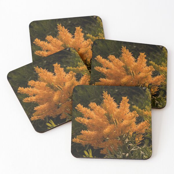 Item preview, Australian Christmas Tree designed and sold by DMJ58.
