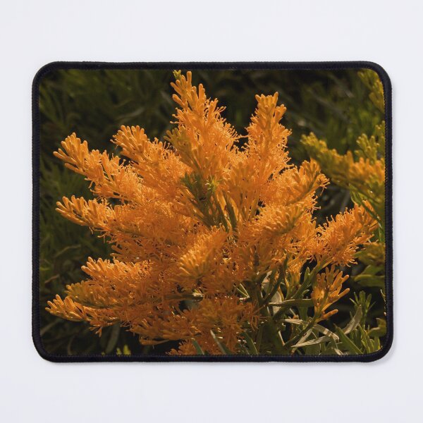 Item preview, Australian Christmas Tree designed and sold by DMJ58.