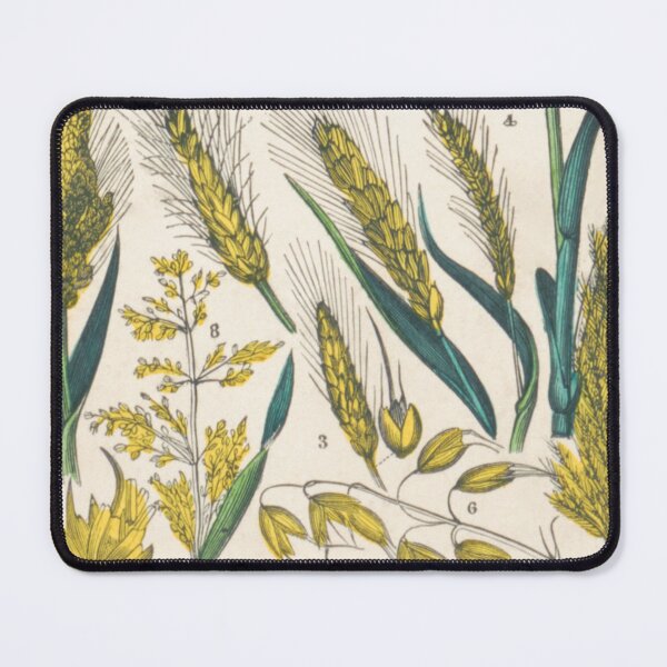 Item preview, Worthy of a Wheat King designed and sold by ZinZoe.