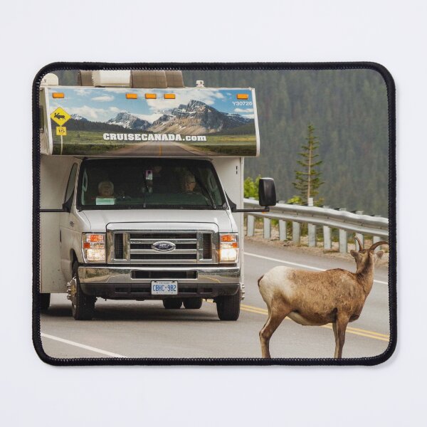 Item preview, Face off with bighorn sheep designed and sold by mparnisari.