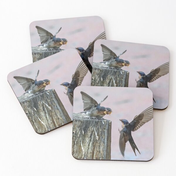 Item preview, Welcome swallow feeding young.  designed and sold by DaveBassett.