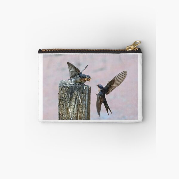 Item preview, Welcome swallow feeding young.  designed and sold by DaveBassett.