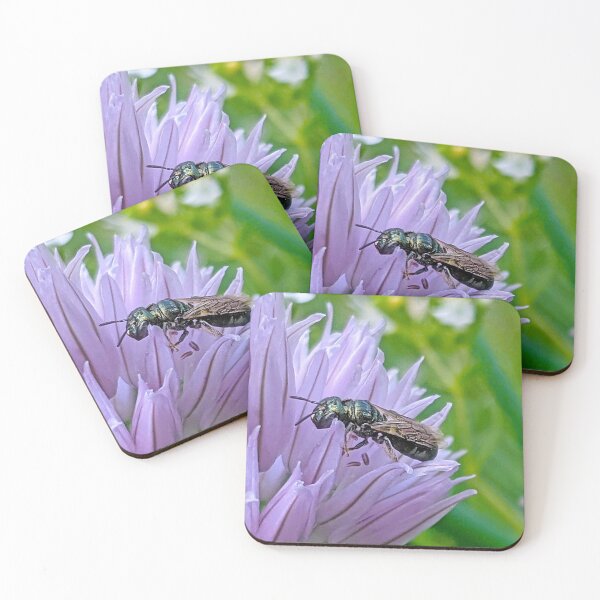 Item preview, Small Carpenter Bee - Ceratina designed and sold by BugNews.