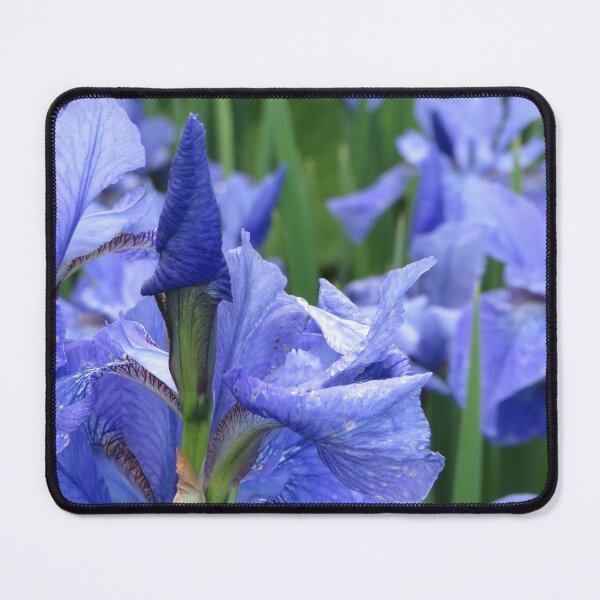 Item preview, Blue Flag Iris designed and sold by Honey Myrtle Studio.
