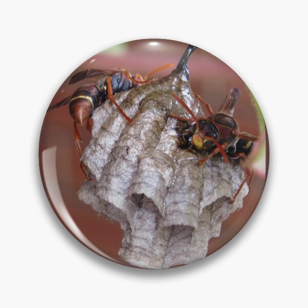 Item preview, Building a New Home - Paper Wasps designed and sold by Honey Myrtle Studio.
