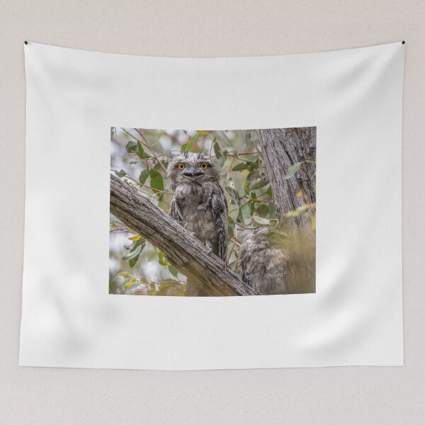 Item preview, Surprised designed and sold by Luke Foster.
